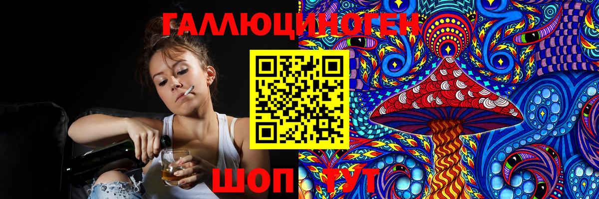 купить наркотик  Псилоцибиновые грибы мицелий  Вход с VPN  Новосибирск 