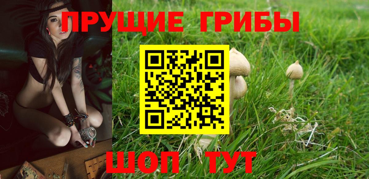 Галлюциногенные грибы прущие грибы Новосибирск